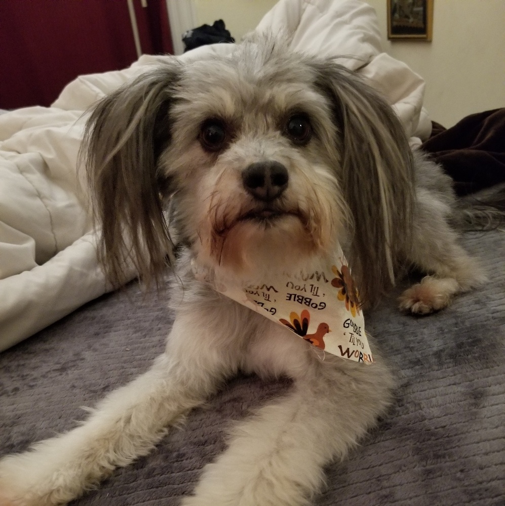 Meet your Posher, Michelle